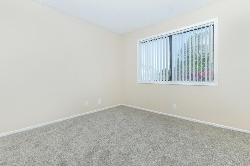 an empty room with a window and carpet
