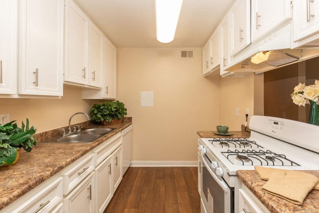 a kitchen with white cabinets and a stove top oven