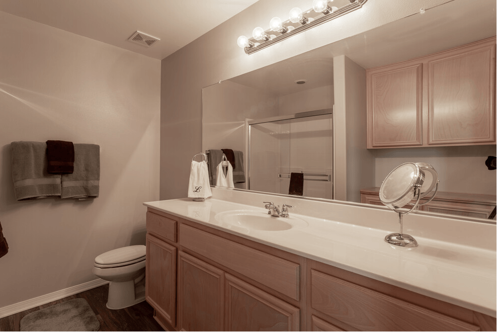 a bathroom with a sink and a toilet and a mirror