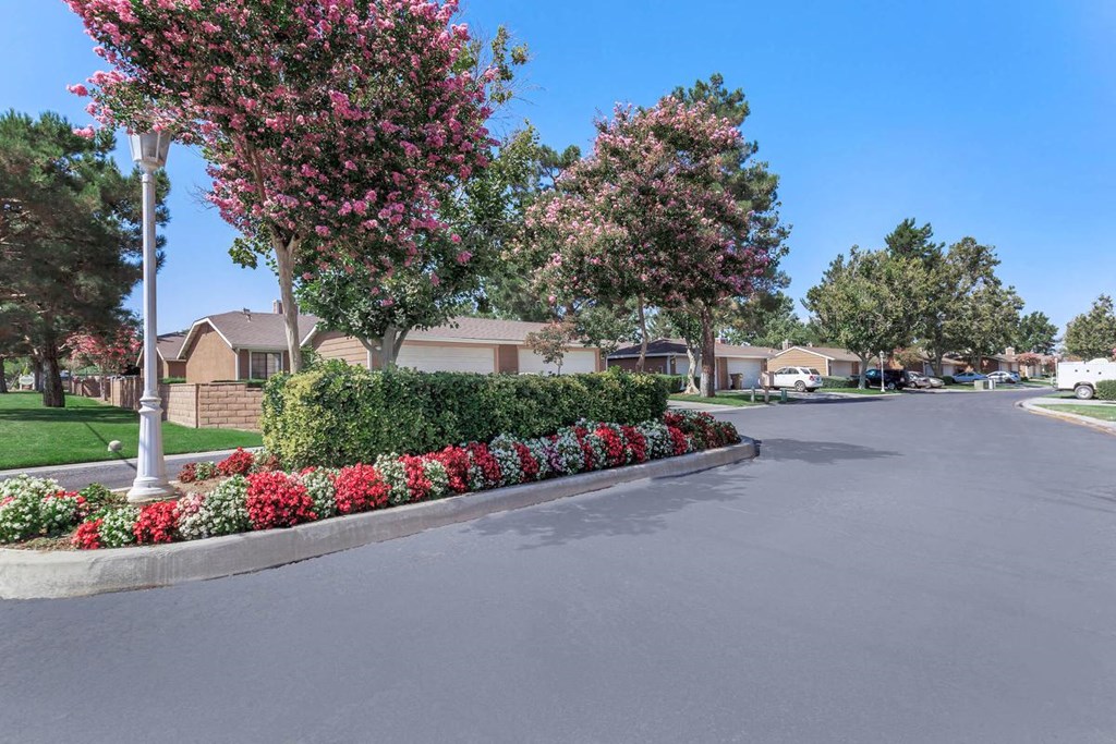 a street with flowers and trees in front of houses
