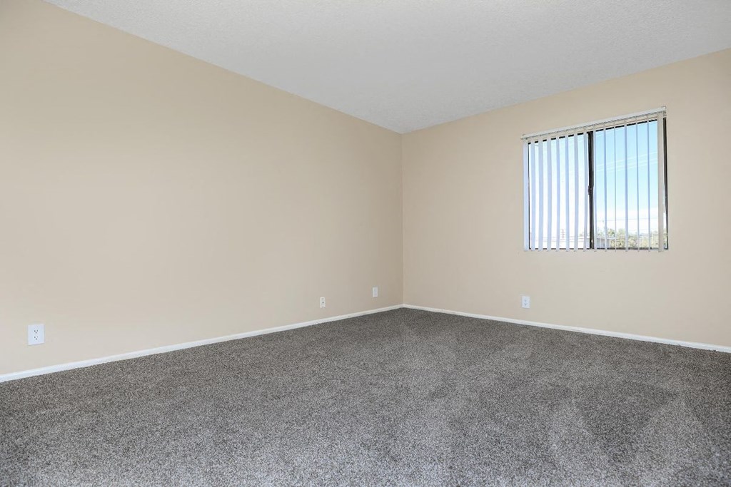 A room with a carpeted floor and a window with blinds.