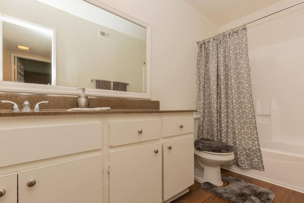 a bathroom with a toilet and a sink and a mirror