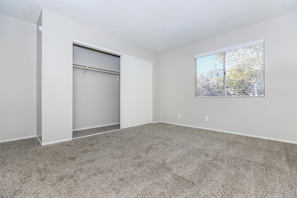 a room with carpet and a window and a closet