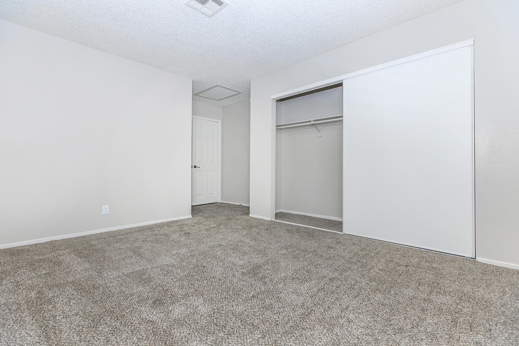 an empty bedroom with a closet and a carpeted floor