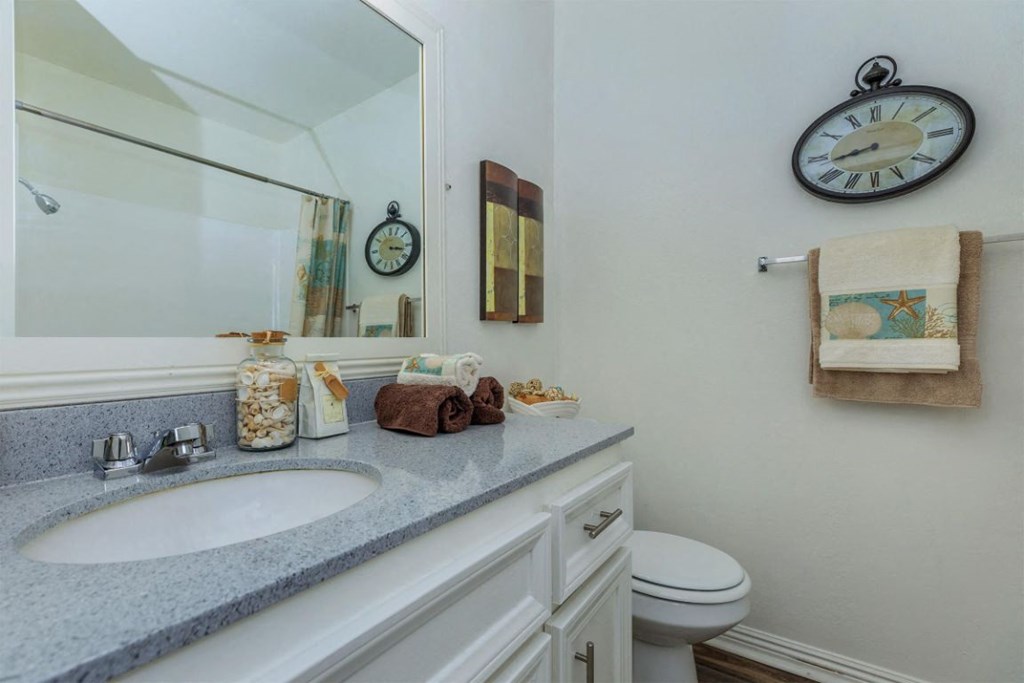 a bathroom with a sink and a mirror and a toilet