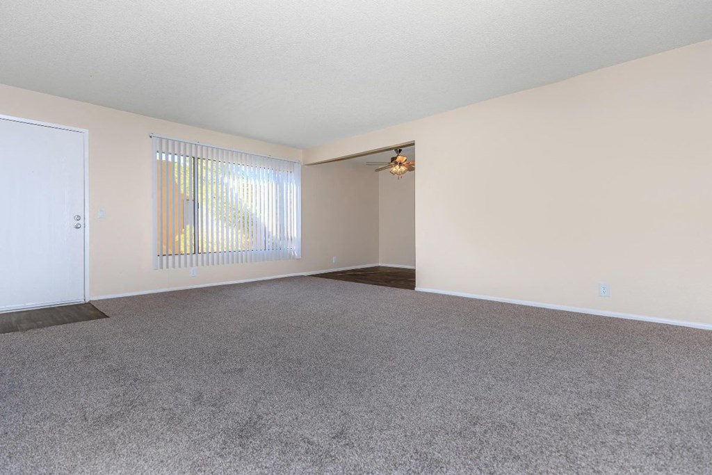 A room with a carpeted floor and a window with blinds.