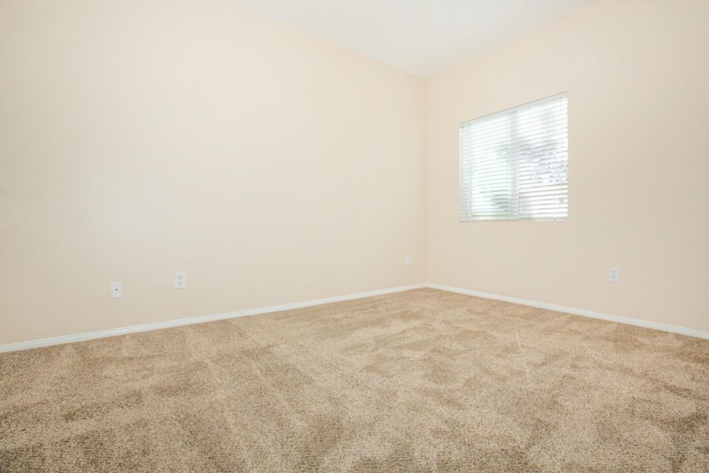 A room with a carpeted floor and a window with blinds.
