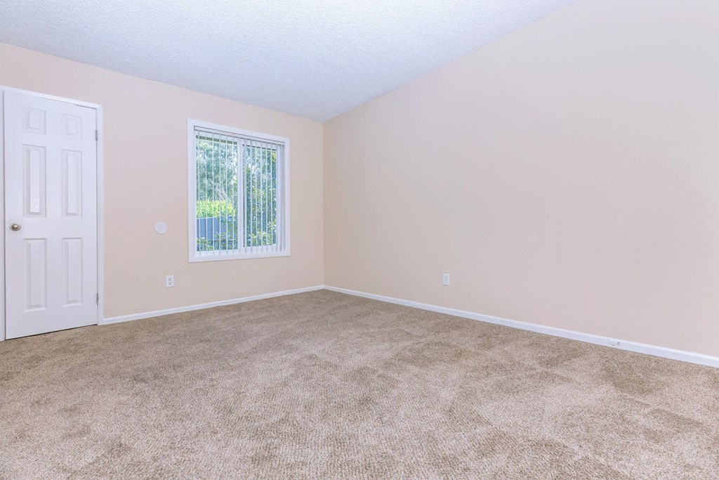 an empty room with carpet and a window