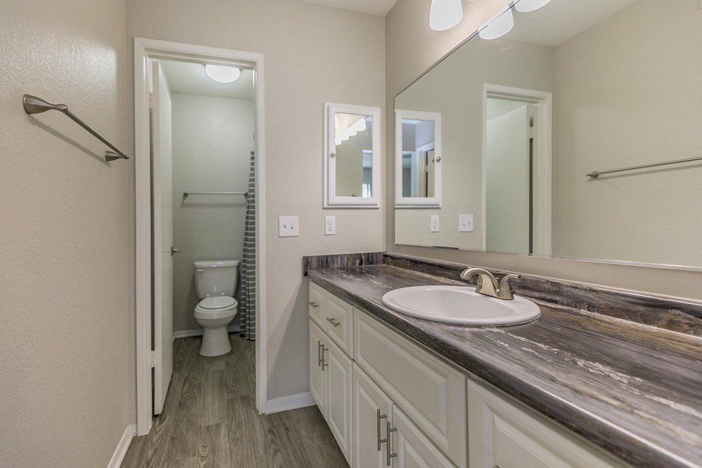 a bathroom with a sink and a mirror and a toilet