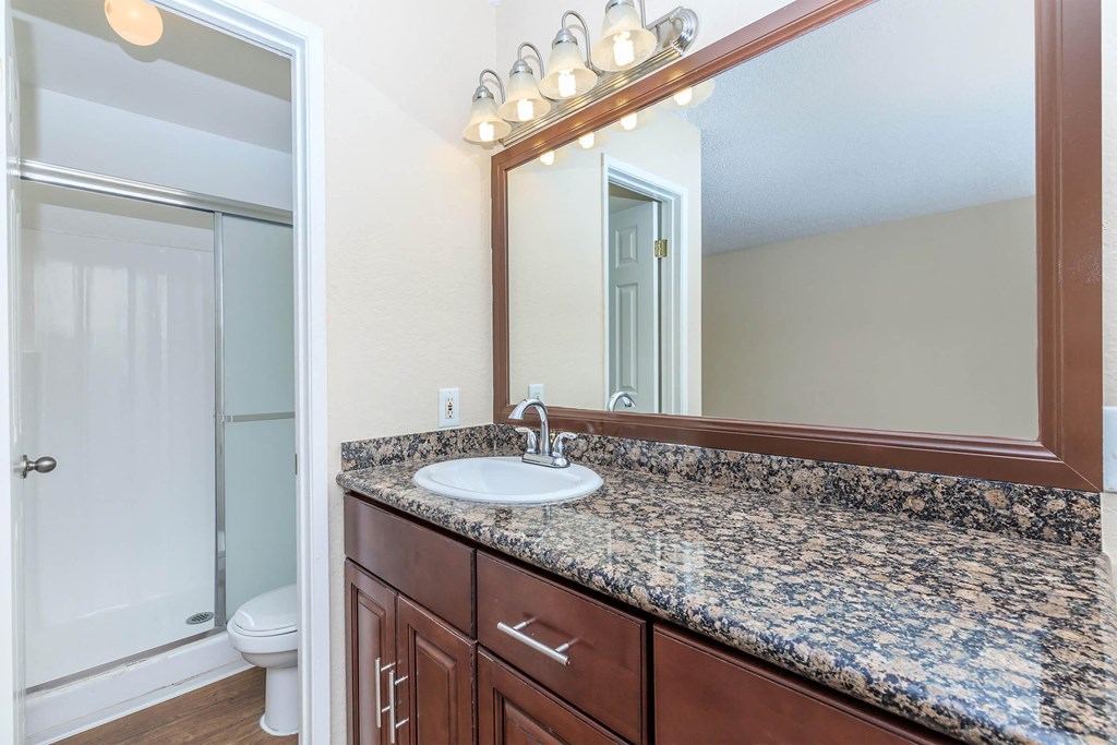 a bathroom with a sink and a mirror