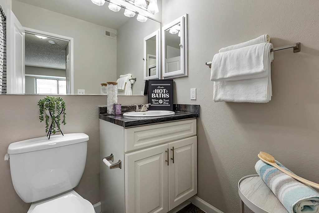 a bathroom with a toilet and a sink and a mirror