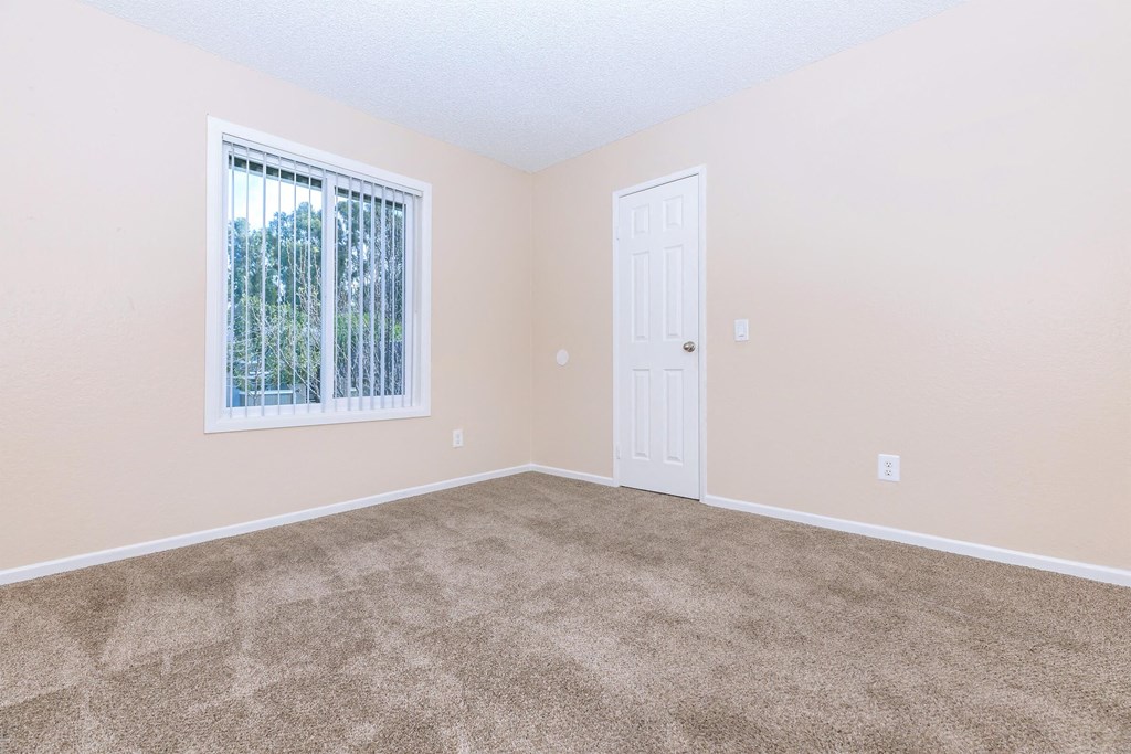 a room with carpet and a window and a door