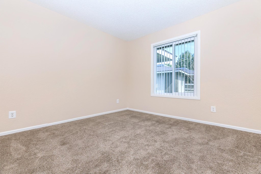 an empty room with carpet and a window
