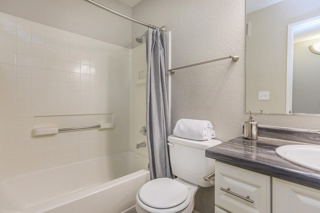 a bathroom with a shower toilet and sink