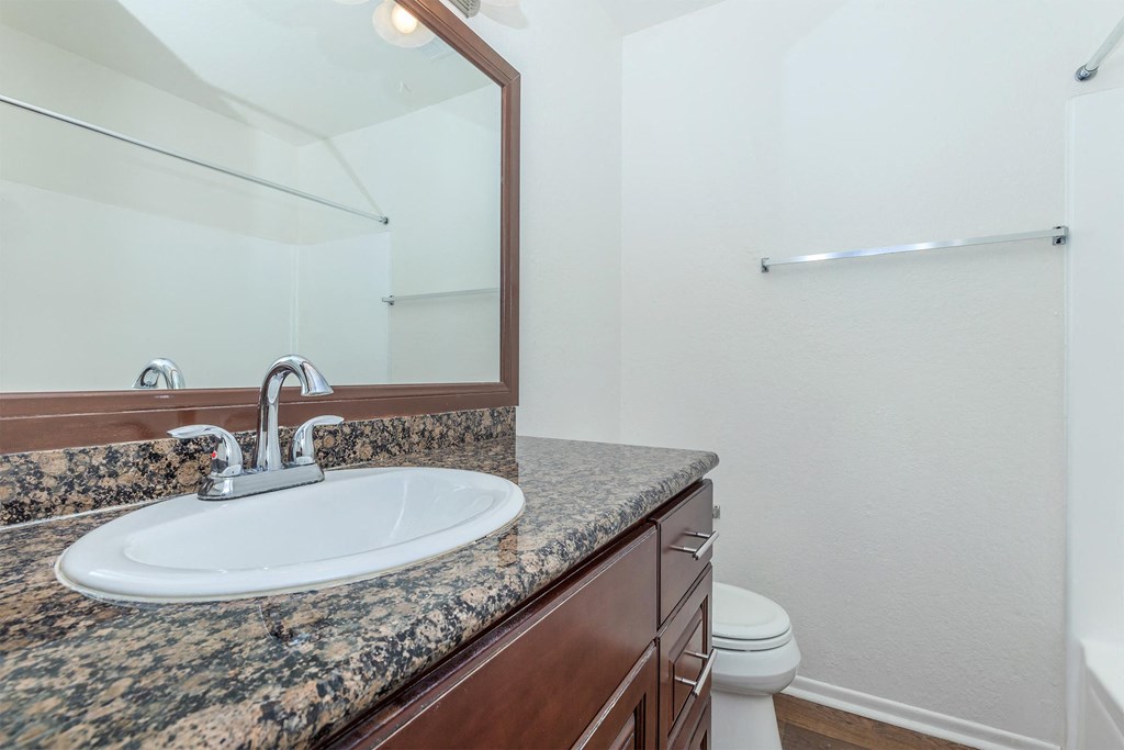 a bathroom with a sink and a mirror and a toilet