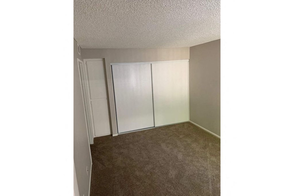an empty bedroom with a closet and a carpeted floor