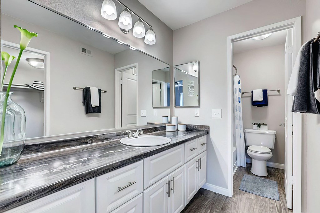a bathroom with a sink and a toilet