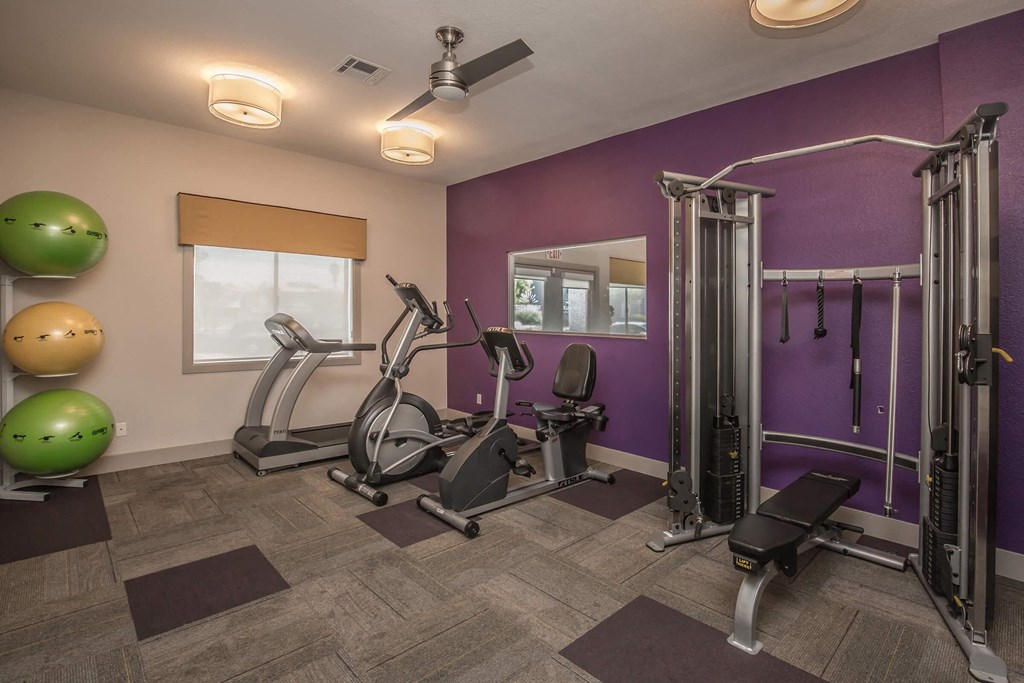 a gym with treadmills and weights in a home gym
