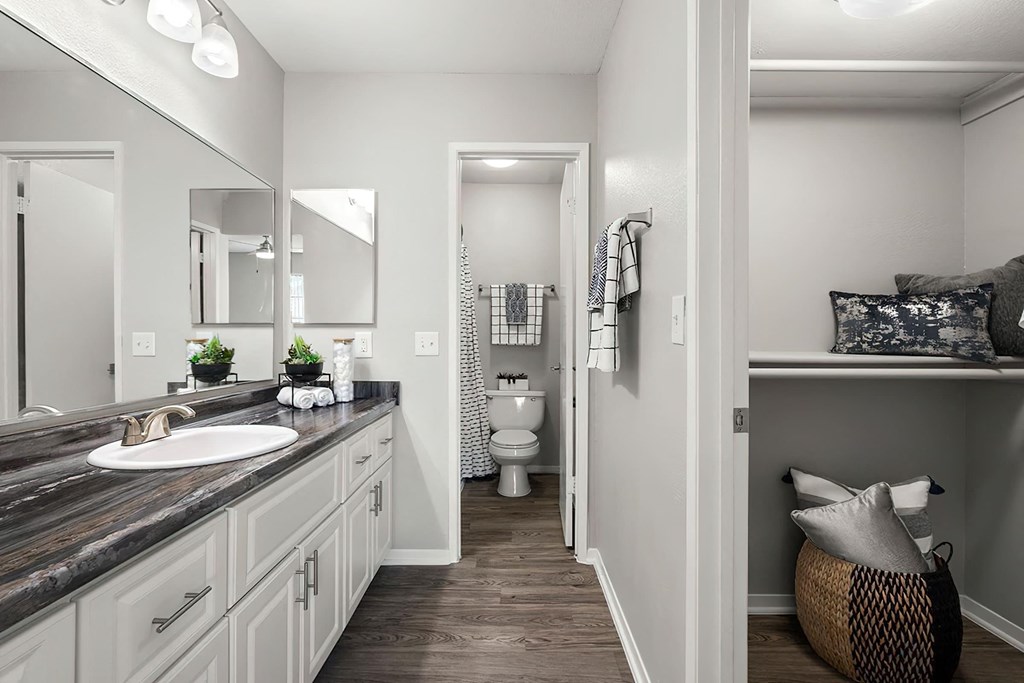 a bathroom with a sink and a toilet in it