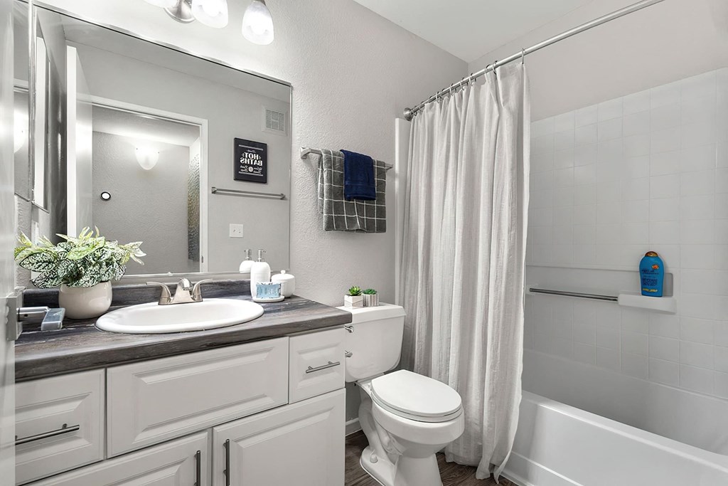 a bathroom with a shower and a sink and a toilet