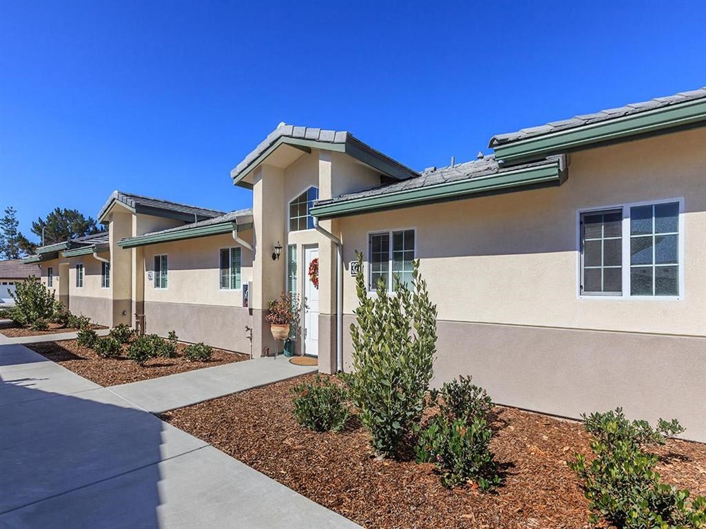 a building with a sidewalk and plants in front of it