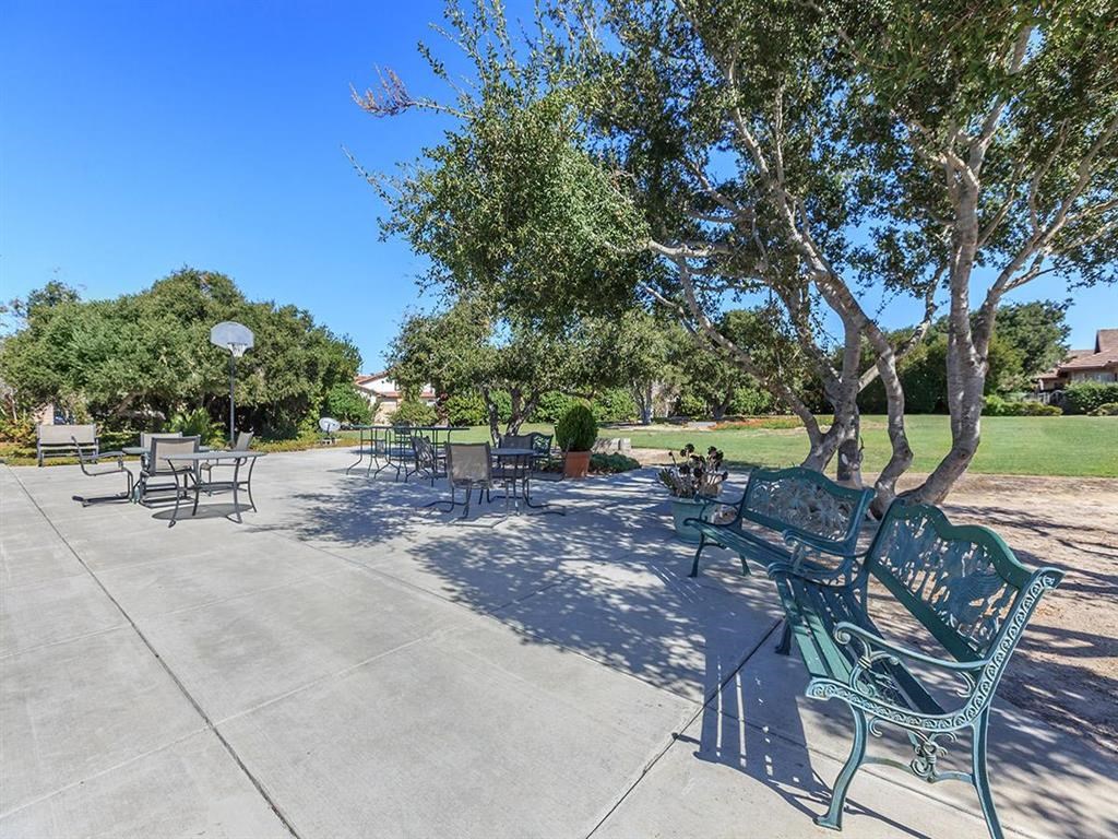 a park with benches and trees in a park