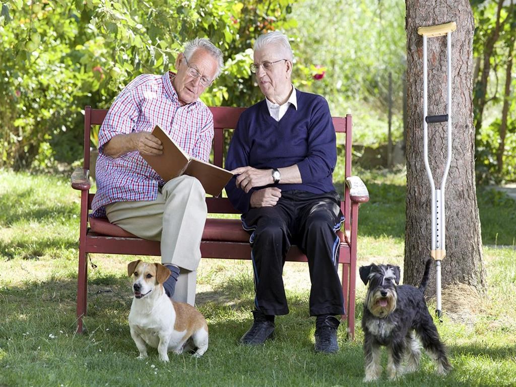 two men sitting on a bench with two dogs