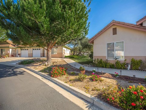 a house with a street and a tree in front of it