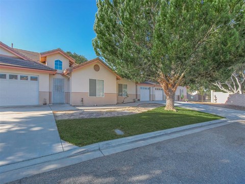 a house with a driveway and a tree in front of it