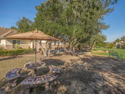 a picnic area with benches and an umbrella