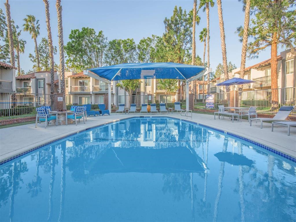 the swimming pool at the apartments for rent