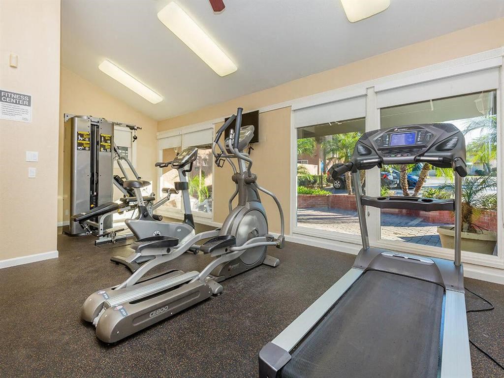 the gym is equipped with a treadmill and weights