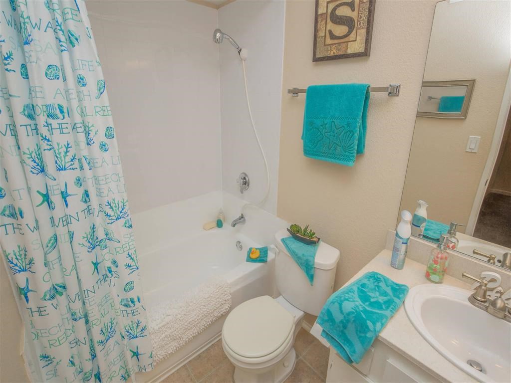 a bathroom with a shower and a toilet and a sink
