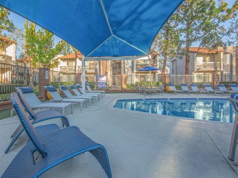 our apartments have a resort style pool and lounge chairs