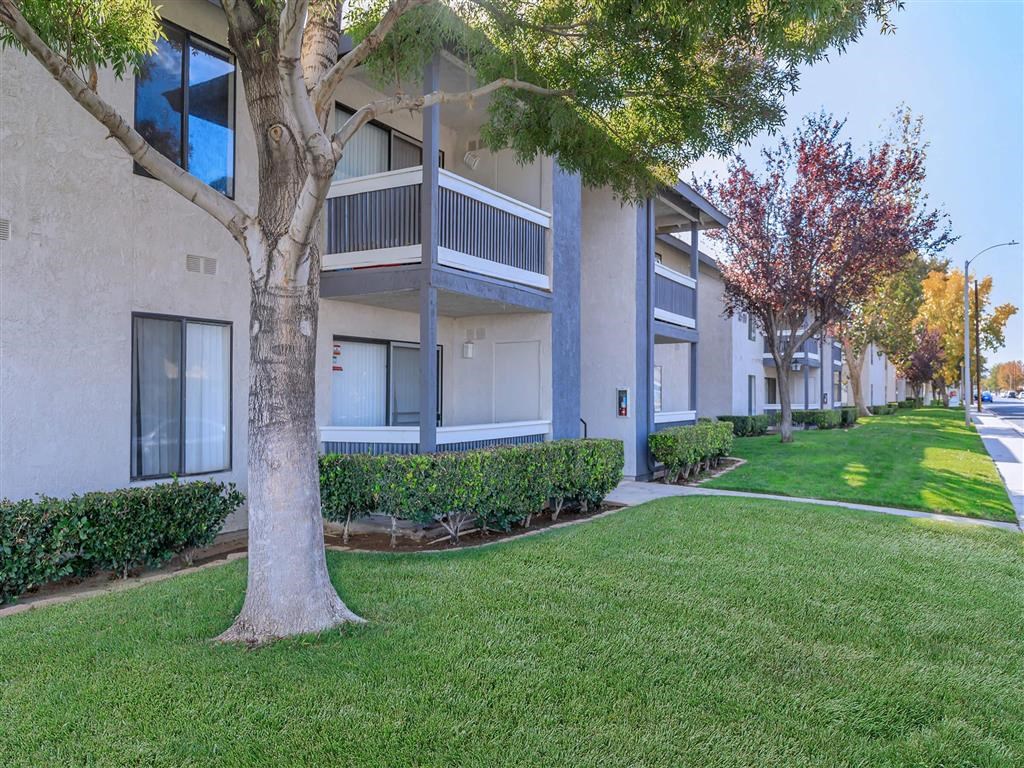 our apartments have a spacious yard with grass and trees