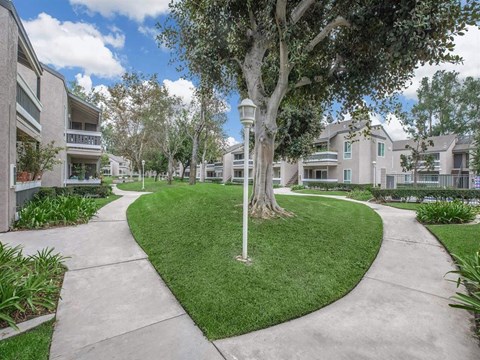 A tree in a grassy area with a pathway leading to a building.