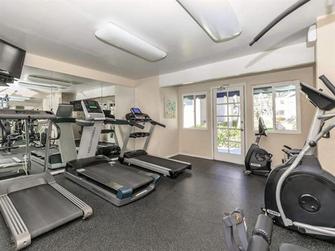 A spacious gym with treadmills, elliptical machines, and other exercise equipment.