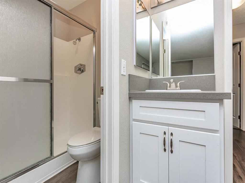 a bathroom with a sink and a toilet and a shower