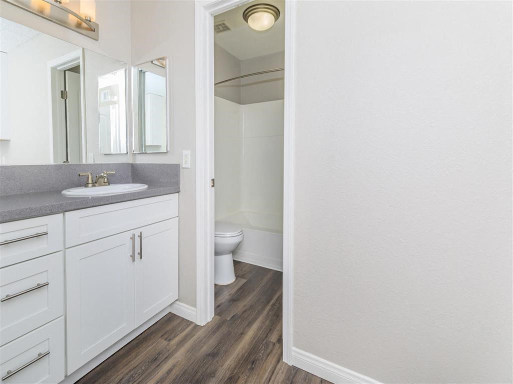 a bathroom with a sink and a toilet and a mirror