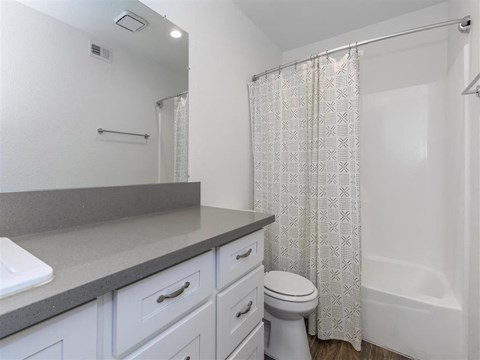 a bathroom with a shower and a sink and a toilet