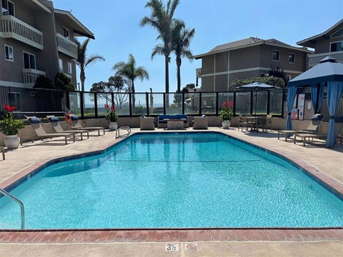 A large swimming pool surrounded by a fence and palm trees.
