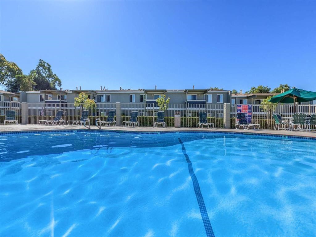 the pool at the apartments for rent