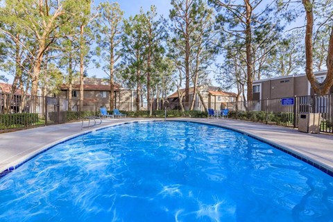 A large blue swimming pool surrounded by trees.