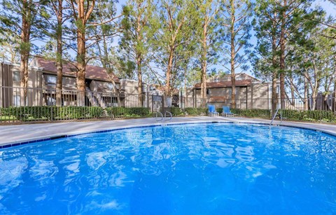 A blue swimming pool surrounded by trees and a fence.