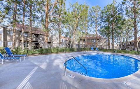A swimming pool surrounded by trees and chairs.