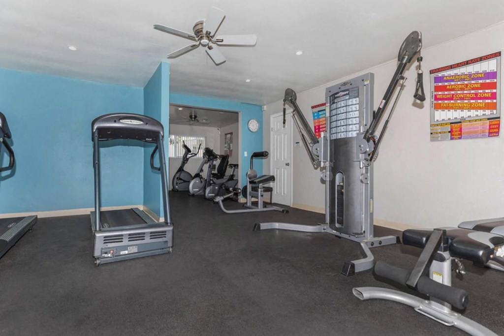 the gym is equipped with cardio equipment and weights