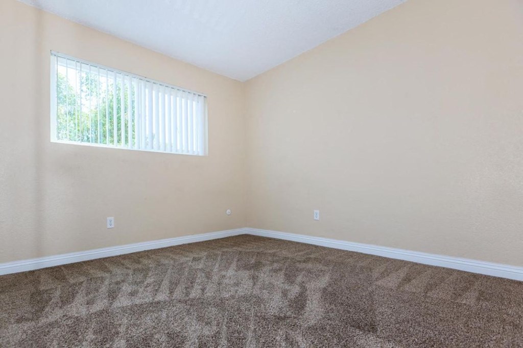 an empty room with carpet and a window