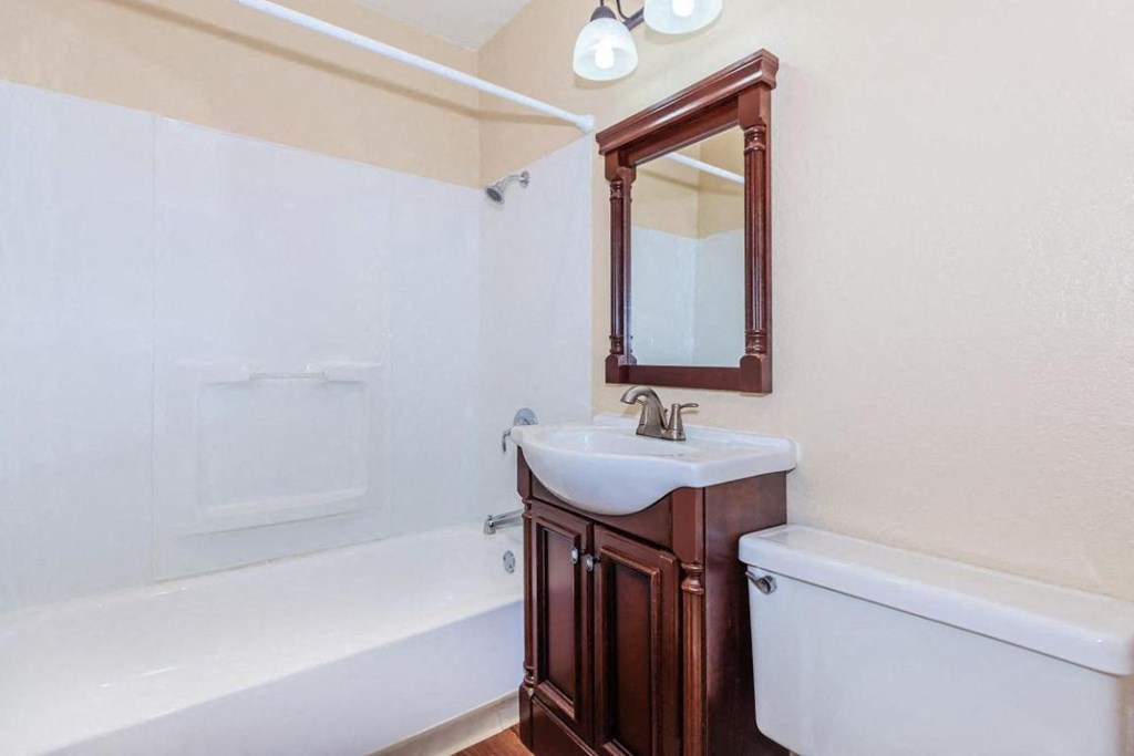 a bathroom with a sink and a toilet and a bath tub