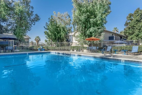 the pool at the apartments for rent
