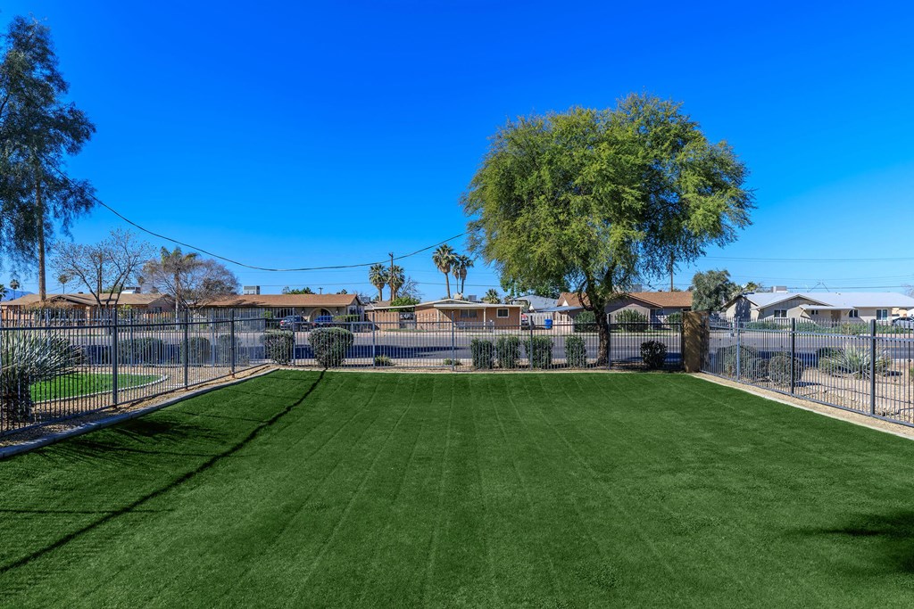the yard is fenced in with a chain link fence